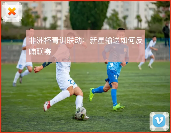 非洲杯青训联动：新星输送如何反哺联赛