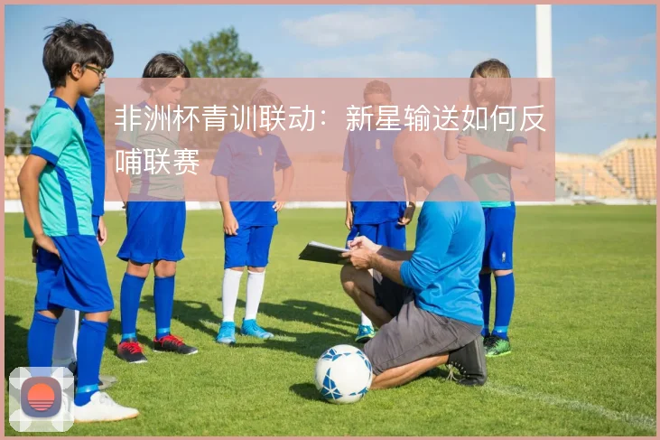 非洲杯青训联动：新星输送如何反哺联赛